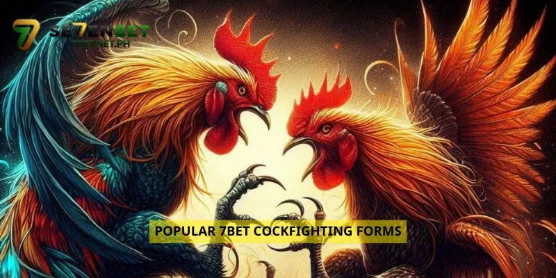Popular 7Bet Cockfighting Forms